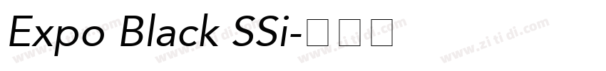 Expo Black SSi字体转换